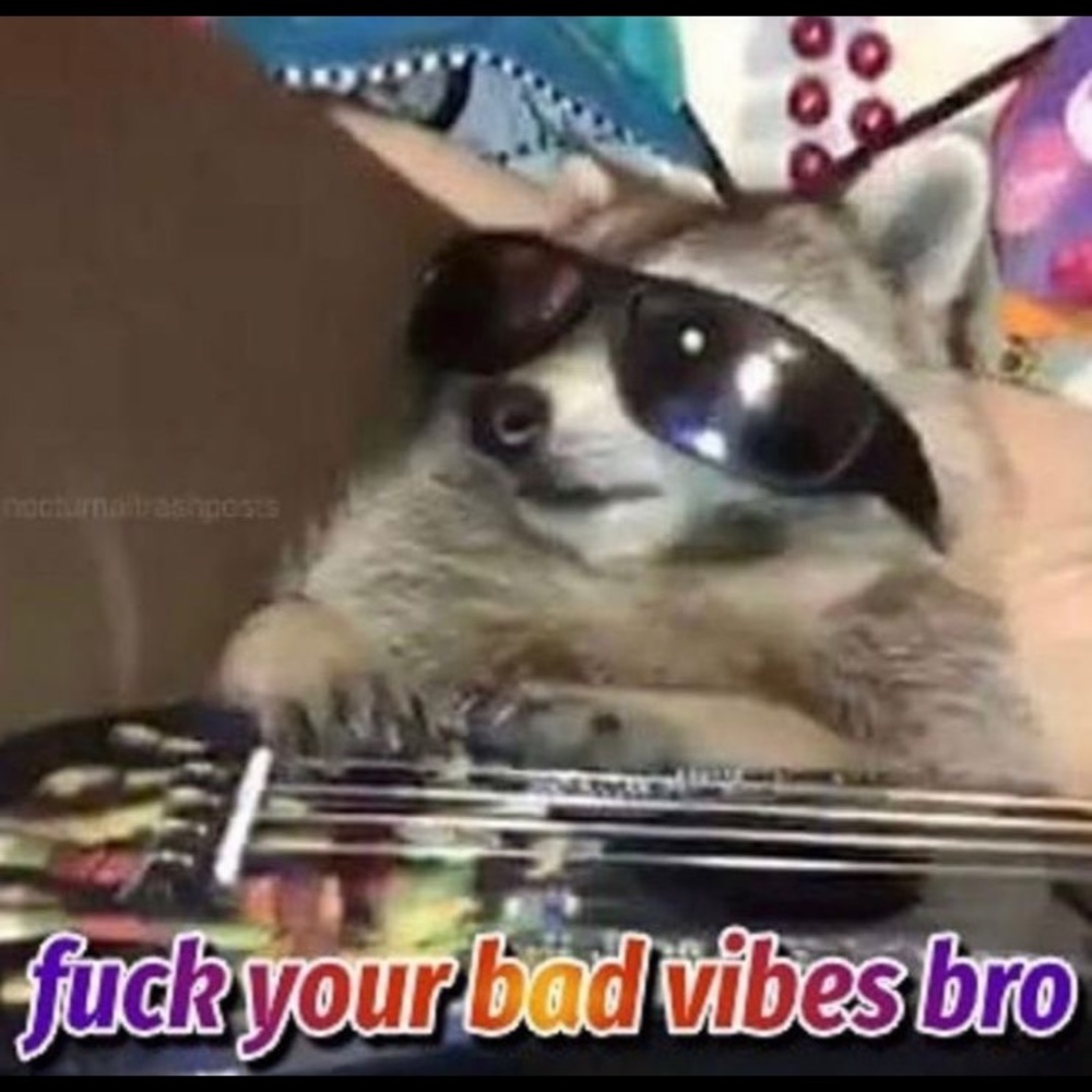 Meet your Posher, Mae